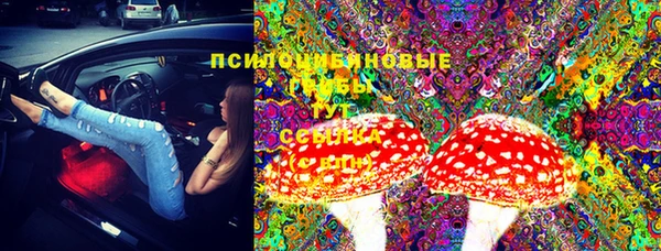 бошки Баксан