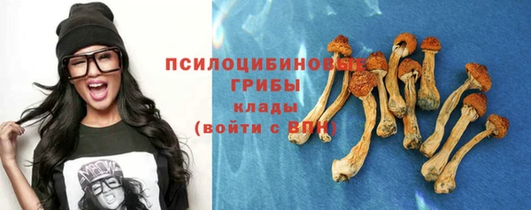 бошки Баксан