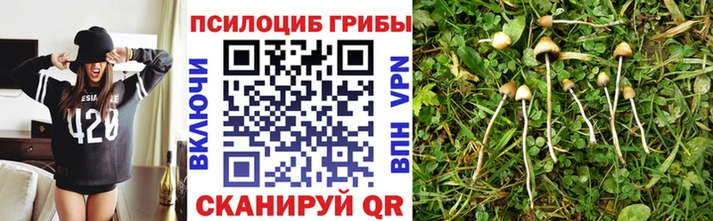 Псилоцибиновые грибы Magic Shrooms блэк спрут ССЫЛКА Лакинск купить наркоту